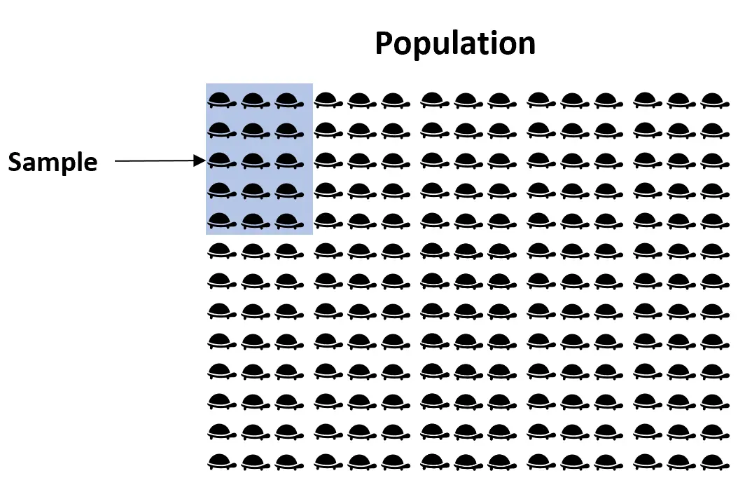 Échantillon d'un exemple de population