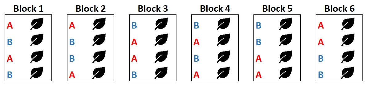 Randomização de blocos permutados